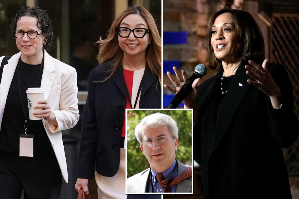 Exclusive | Karen Dunn, other Google lawyers host Kamala Harris fundraiser amid DOJ antitrust fight